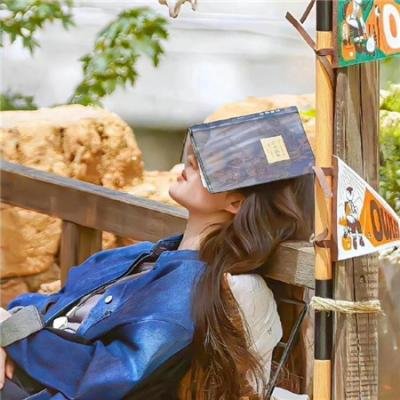 赛琳娜·戈麦斯：我的思想和我